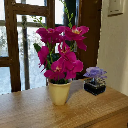 Lovely, Neat And Quite Dalia, Private Parking Сараево